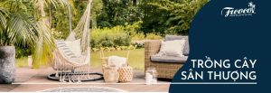 KINH NGHIỆM TRỒNG CÂY TRÊN SÂN THƯỢNG BẠN CẦN BIẾT
