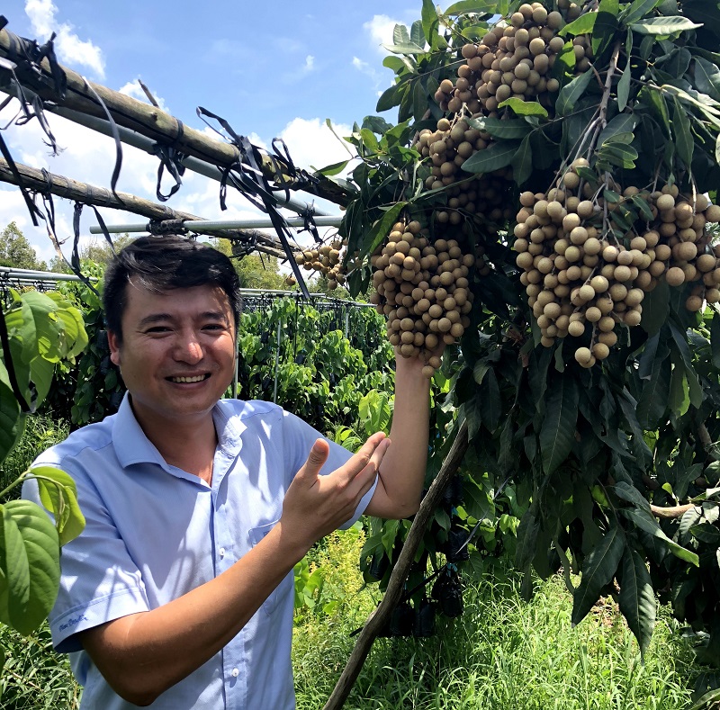 Kỹ Thuật Trồng Và Chăm Sóc Cây Xoài: Biến Chai Nhựa Thành Vườn Xanh Tiện Lợi