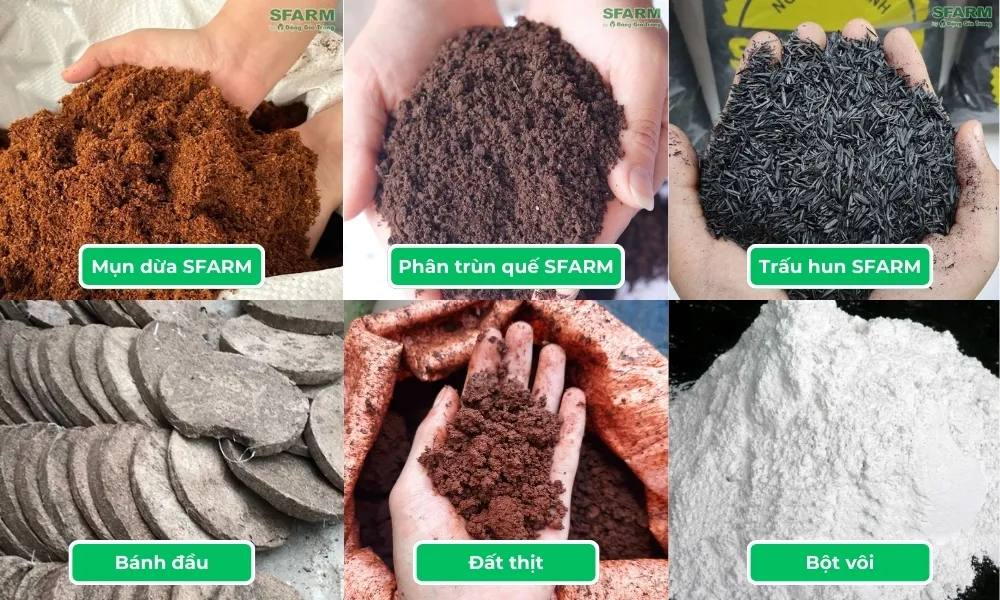 Các giá thể để thực hiện cách trồng dưa lưới