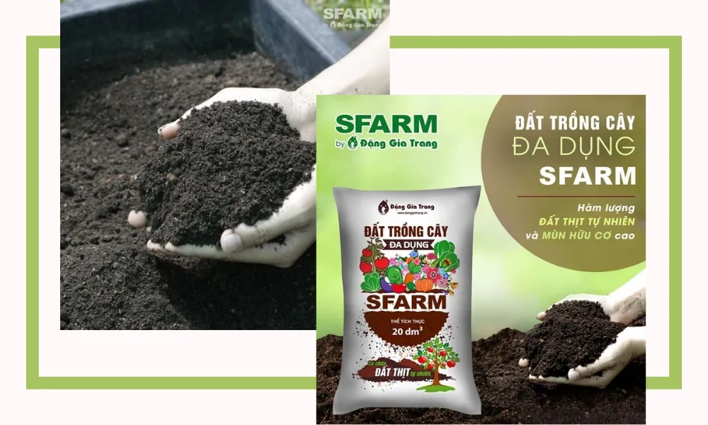 Đất trồng phù hợp cho cách trồng dưa lưới ngoài trời