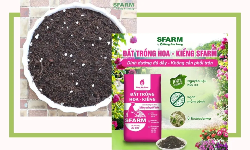 SFARM cung cấp sỉ đất trồng hoa kiểng chất lượng