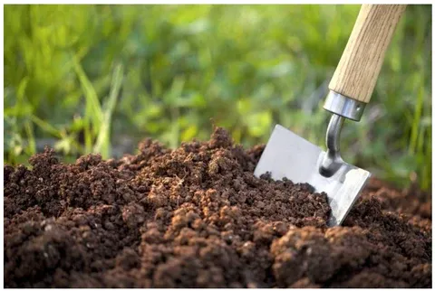 Các loại đất phổ biến trong vườn rau