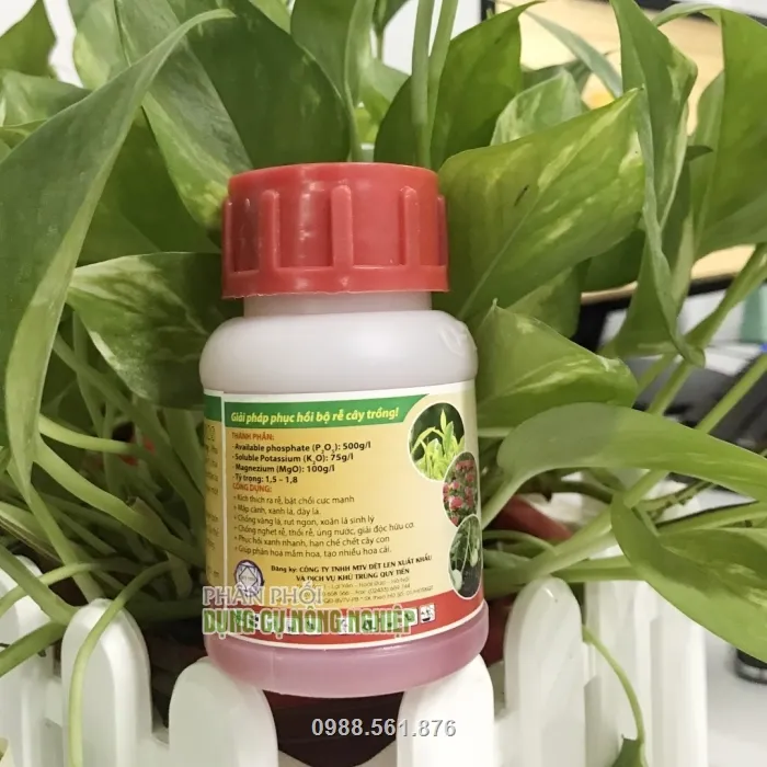 Cung cấp dinh dưỡng cho cây giúp cây sinh trưởng khỏe mạnh