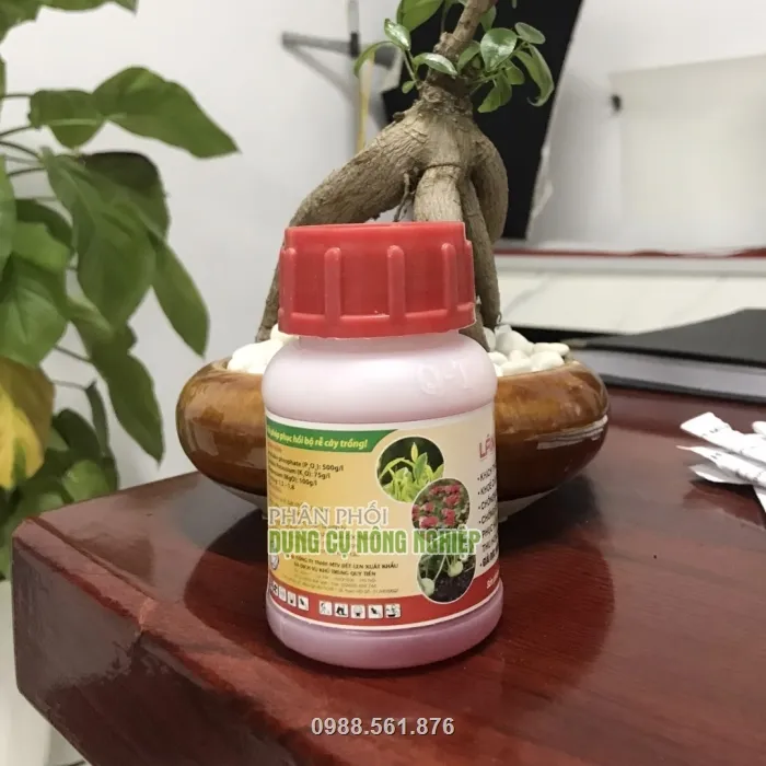 Hạn chế vàng lá, rụt ngọn, xoăn lá sinh lý trên cây