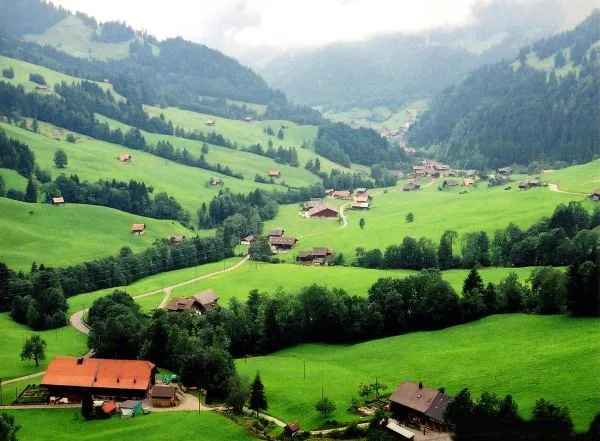 Cây xanh chống xói mòn đất trên sườn dốc