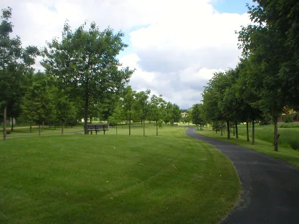 Cây xanh ngăn chặn ô nhiễm nguồn nước từ dòng chảy mưa