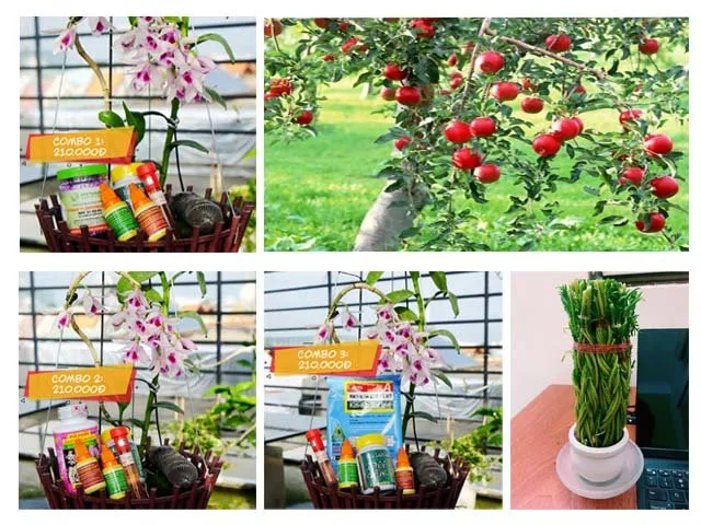Vật tư làm vườn và chế phẩm an toàn tại Lucky Garden