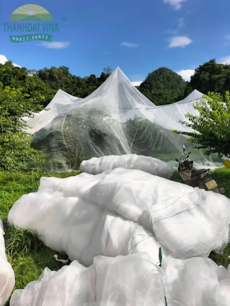 Lưới chắn côn trùng khổ lớn phủ vườn cây ăn trái Lưới chắn côn trùng khổ lớn phủ vườn cây ăn trái