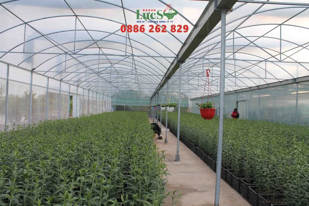 Lưới chắn côn trùng nhà kính trong vườn ươm Lưới chắn côn trùng nhà kính trong vườn ươm