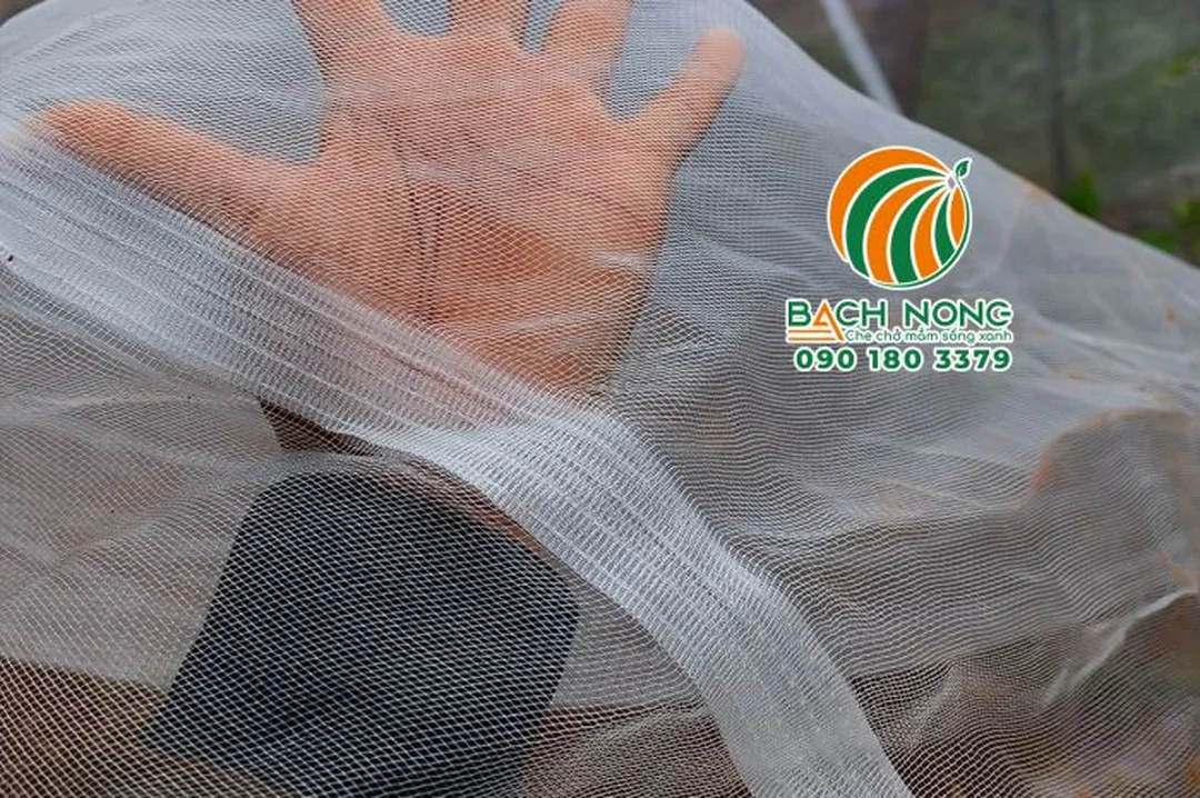 lưới chắn côn trùng thái việt 20 mesh thực tế