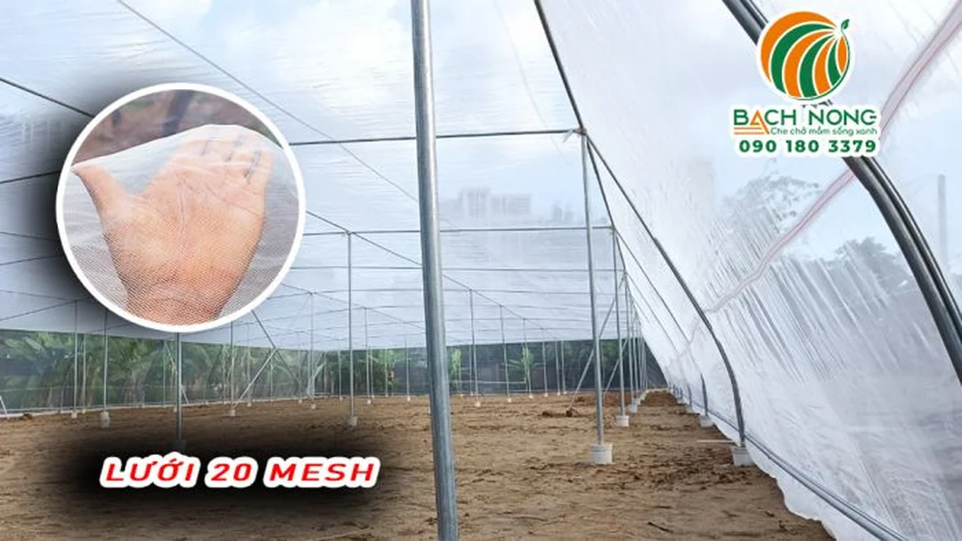 lưới chắn côn trùng thái việt thi công nhà lưới