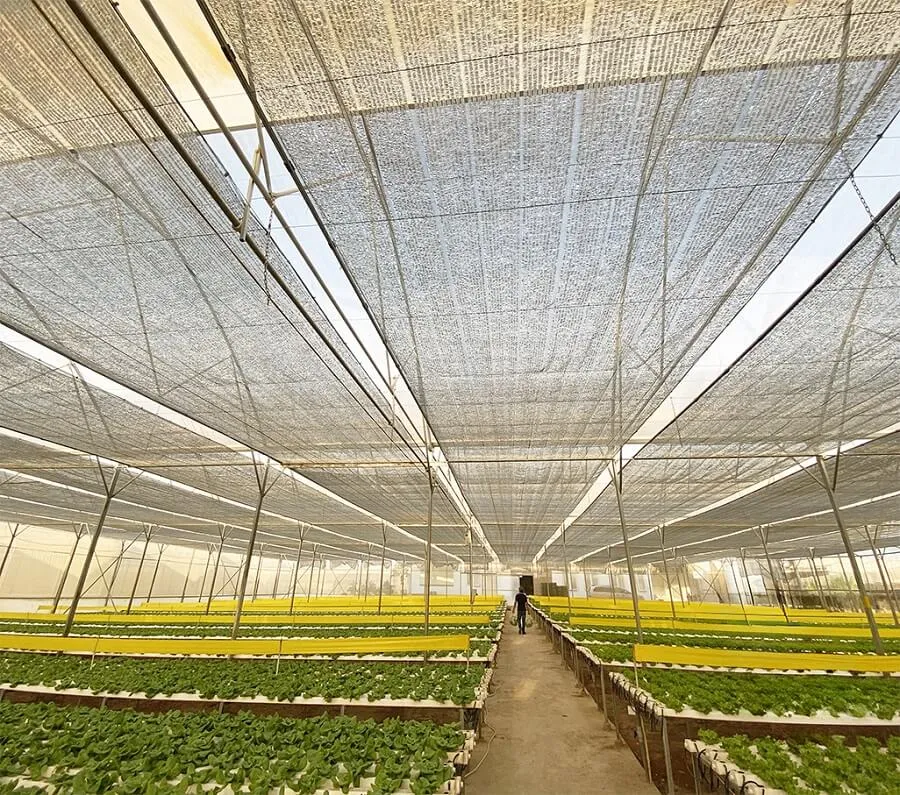 lưới trồng rau sạch