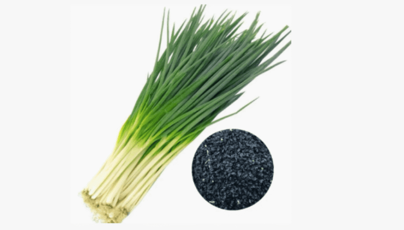 Dụng Cụ Bao Trái Cây Trên Cao: Giải Pháp Hiệu Quả Cho Nhà Vườn