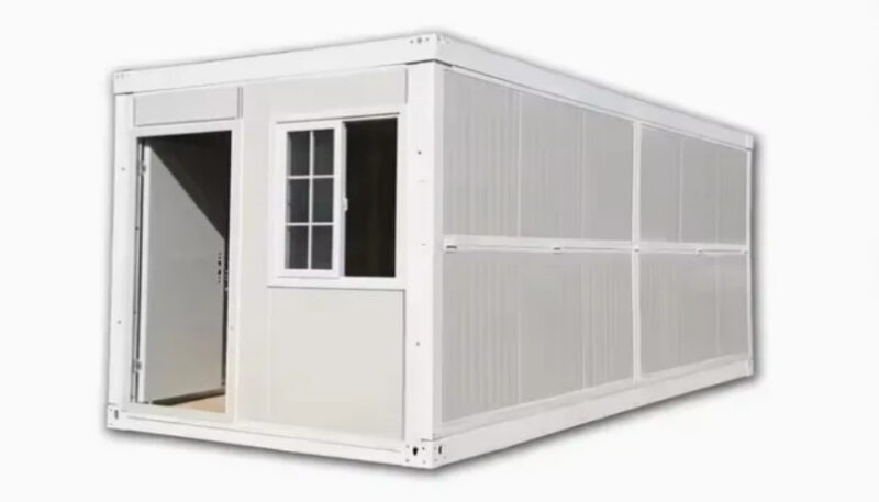 Hướng Dẫn Chi Tiết Cách Trồng Và Chăm Sóc Cây Cảnh Toàn Diện Cho Không Gian Sống