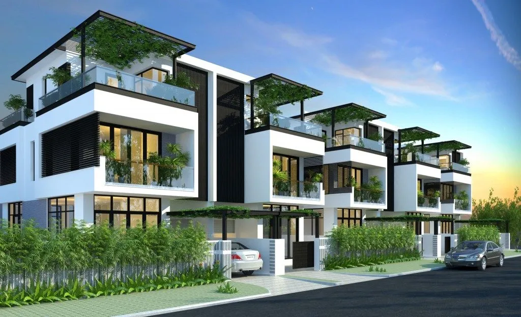 Cây tre, trúc cảnh