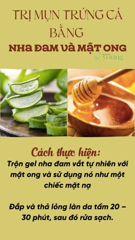Mặt Nạ Nha Đam Trị Mụn: Công Thức Dưỡng Da Tự Nhiên Hiệu Quả