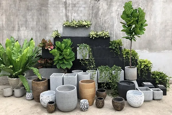 Văn phòng kín vẫn tạo không gian xanh