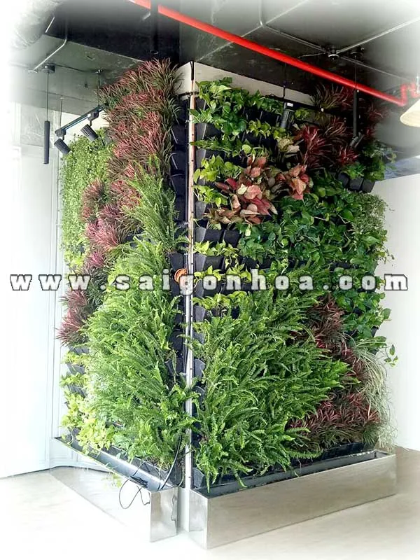 Mẫu tường cây đẹp