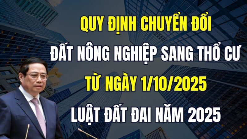 Chuyển Đất Trồng Cây Lâu Năm Lên Thổ Cư: Hướng Dẫn Chi Tiết Thủ Tục, Điều Kiện & Chi Phí