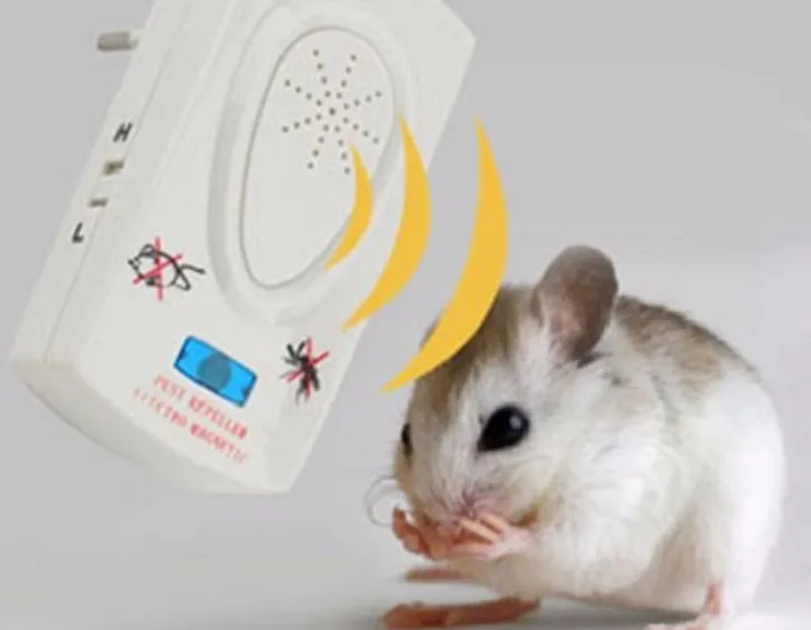 Máy đuổi chuột bằng sóng âm