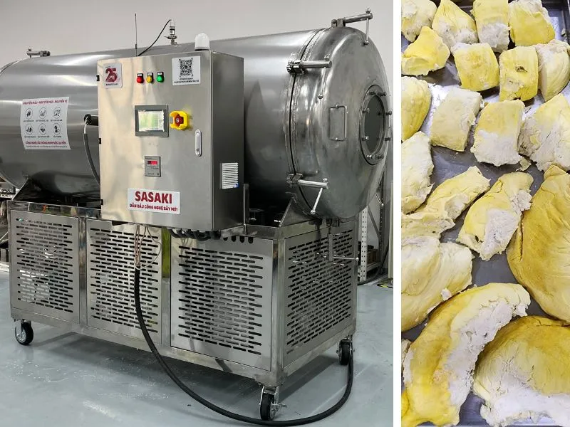 Máy sấy thăng hoa SASAKI