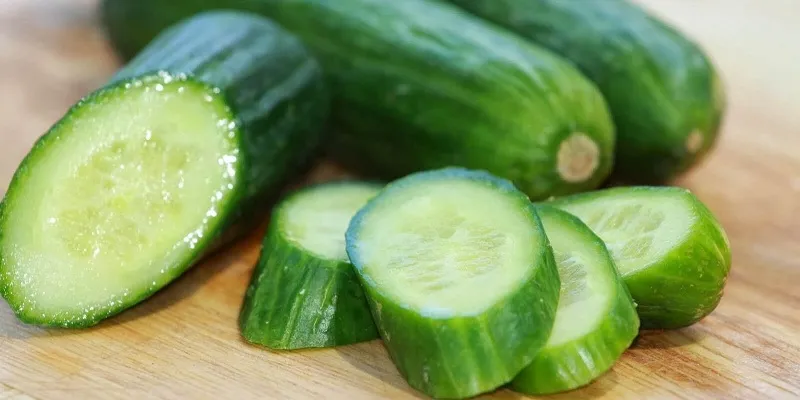 Gián rất sợ mùi dưa chuột.