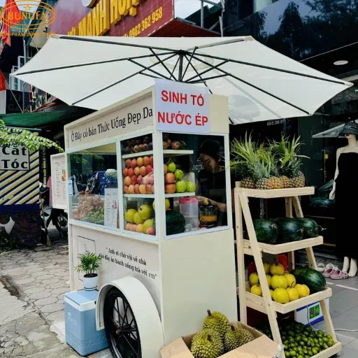 Mô hình bán nước ép trái cây vỉa hè: Kế hoạch kinh doanh và kinh nghiệm mở quán