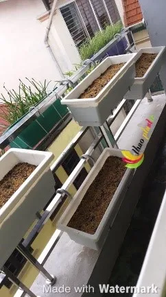 Giá treo chậu cây ban công lắp đặt trực tiếp lên lan can mà không cần khoan vít