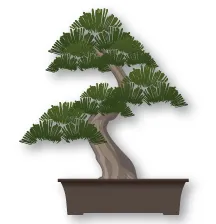 Bonsai dáng trực lắc (Moyogi)