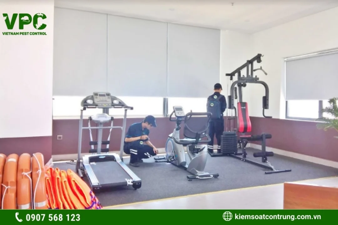 mua thuốc diệt côn trùng ở đâu cho người mới bắt đầu mua thuốc diệt côn trùng ở đâu cho người mới bắt đầu