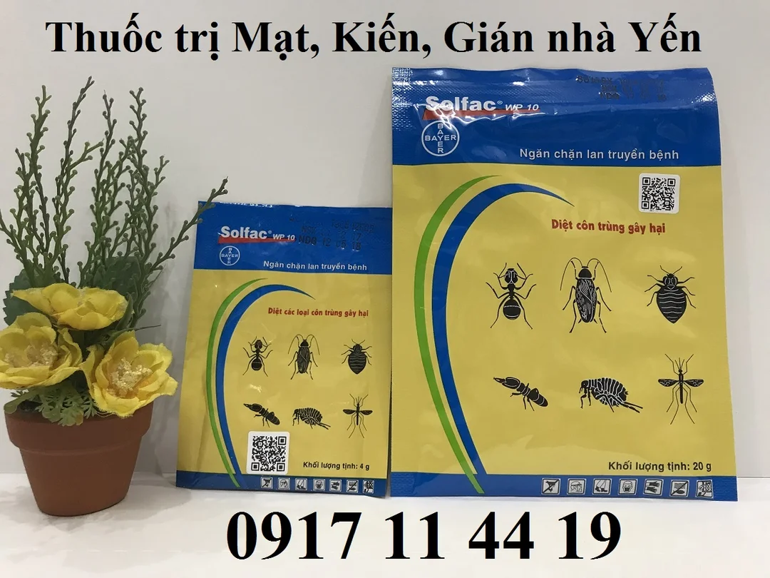 mua thuốc diệt côn trùng ở đâu khi so sánh mua online và trực tiếp mua thuốc diệt côn trùng ở đâu khi so sánh mua online và trực tiếp
