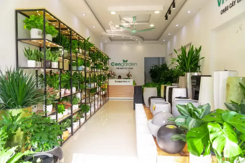 Mức vốn nên lựa chọn sao cho vừa đủ xoay vòng trong 3 tháng đầu và linh hoạt điều chỉnh