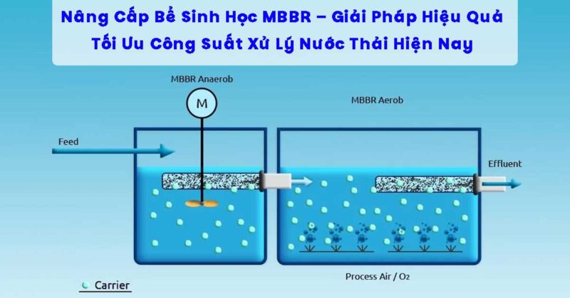 Giải Đáp Chi Tiết Giá Thể MBBR Là Gì Và Cách Ứng Dụng