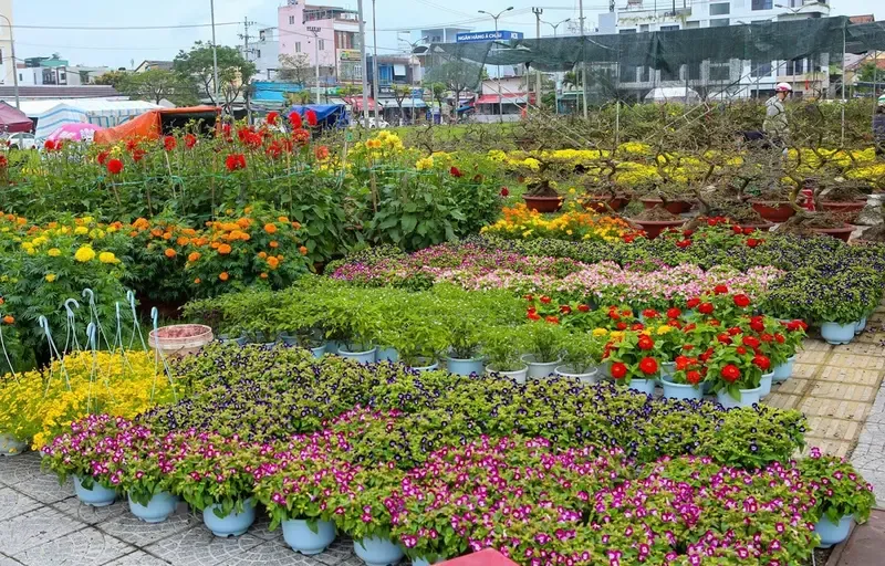 Nên khảo sát nhóm khách hàng tiềm năng quanh khu vực