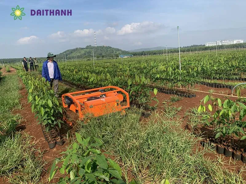 Máy cắt cỏ điều khiển từ xa hỗ trợ làm vườn