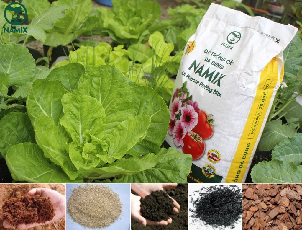 nguyên điệu tự nhiên