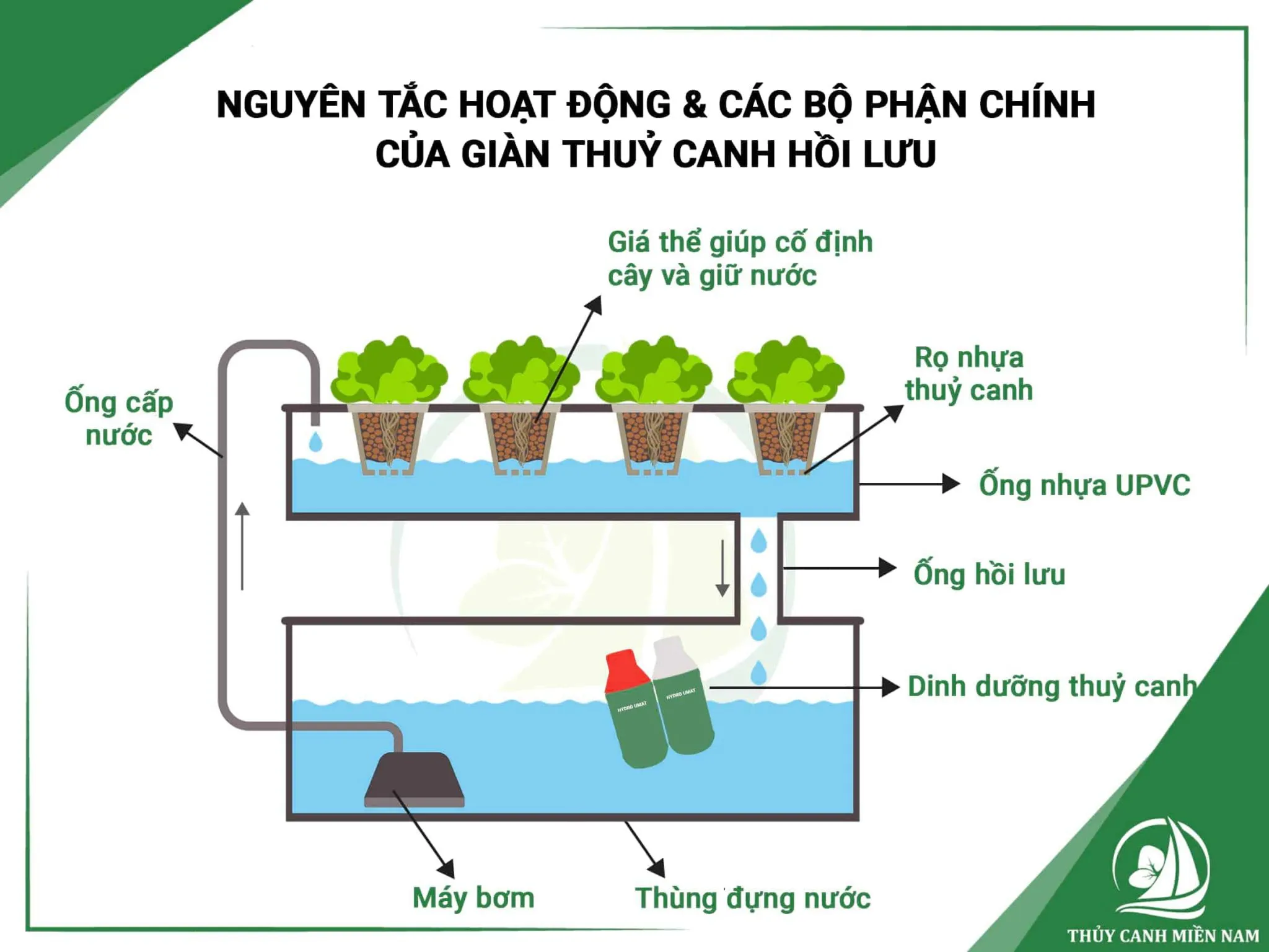 Nguyên lý vận hành tuần hoàn của dung dịch trong thủy canh hồi lưu