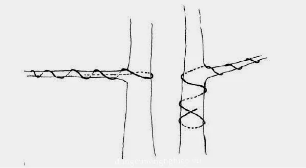 Cố định một đầu dây nhôm khi chỉ thực hiện uốn cho một cành đơn lạ