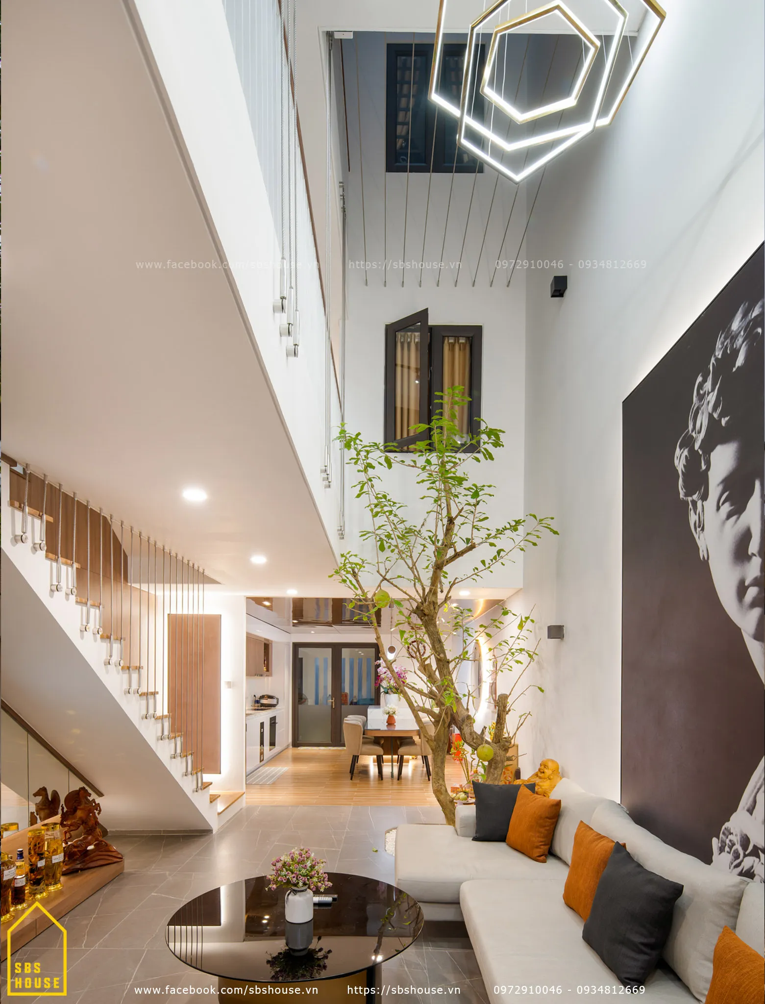 Cây cảnh trồng trong nhà giúp cải thiện không gian sống và thanh lọc bụi bẩn hiệu quả