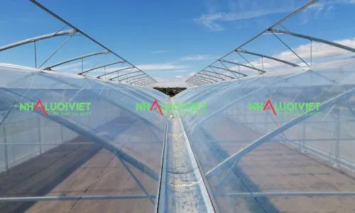 Sử dụng màng làm nhà kính để bảo vệ trong mùa đông lạnh