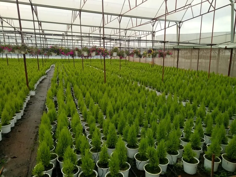 Cấu trúc chi tiết nhà lưới với các lớp lưới và màng phủ