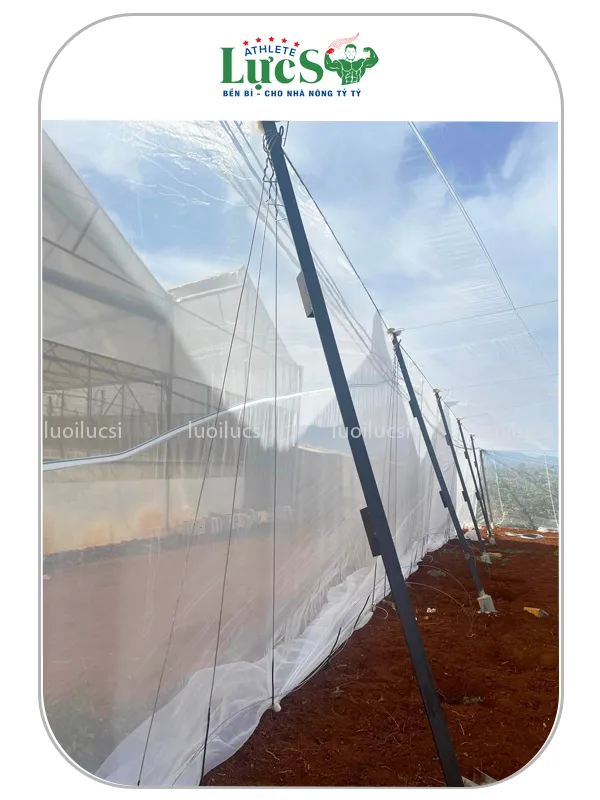 nhà lưới trồng rau 1