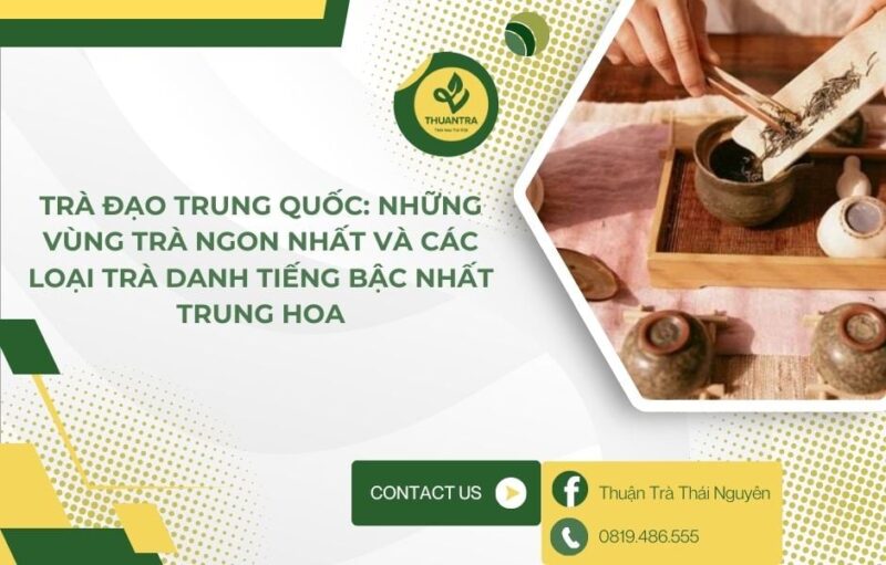 Vùng Nào Trồng Cây Ăn Quả Lớn Nhất Nước Ta: Khám Phá Trung Tâm Sản Xuất Trái Cây Việt Nam