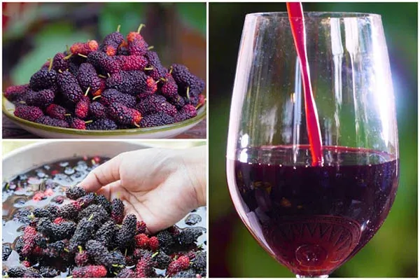 Thưởng thức rượu dâu tằm