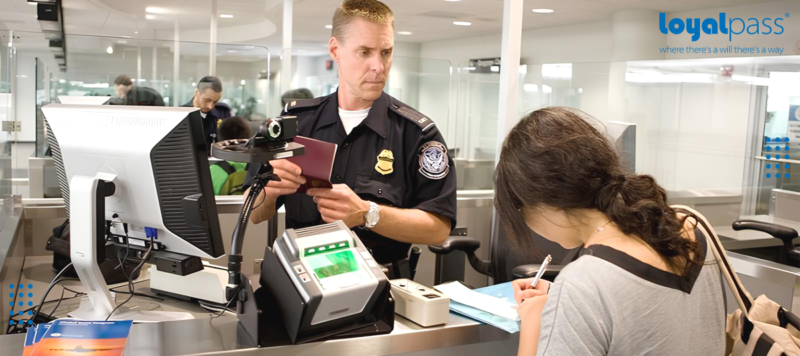 Hướng Dẫn Chi Tiết: Cách Trồng Cây Phát Tài Khúc Trong Nước Để Không Gian Thêm Xanh Mát