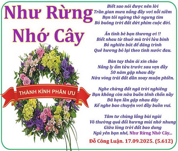 Cây Sả Có Hoa Không? Bí Mật Về Vòng Đời Sinh Sản Của Sả