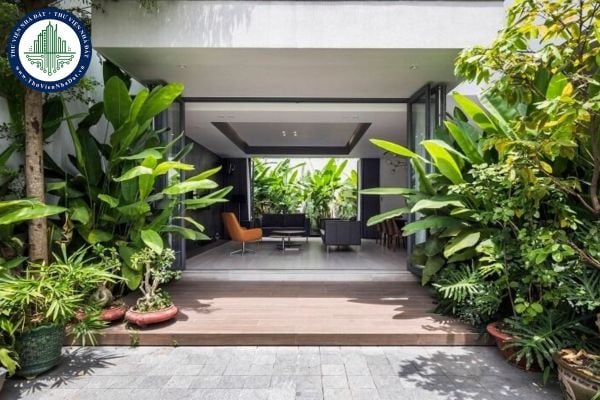 Những Loại Cây Không Nên Trồng Trước Nhà Để Tránh Vận Xui