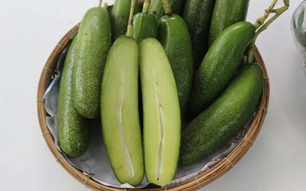 Những loại trái cây không có hạt - bơ