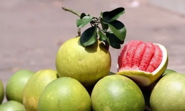 Những loại trái cây không có hạt - bưởi