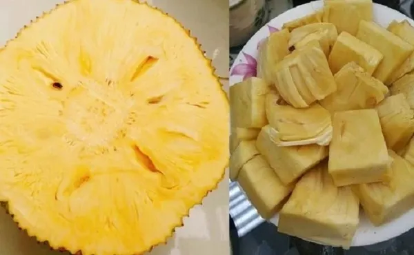 Những loại trái cây không có hạt - mít